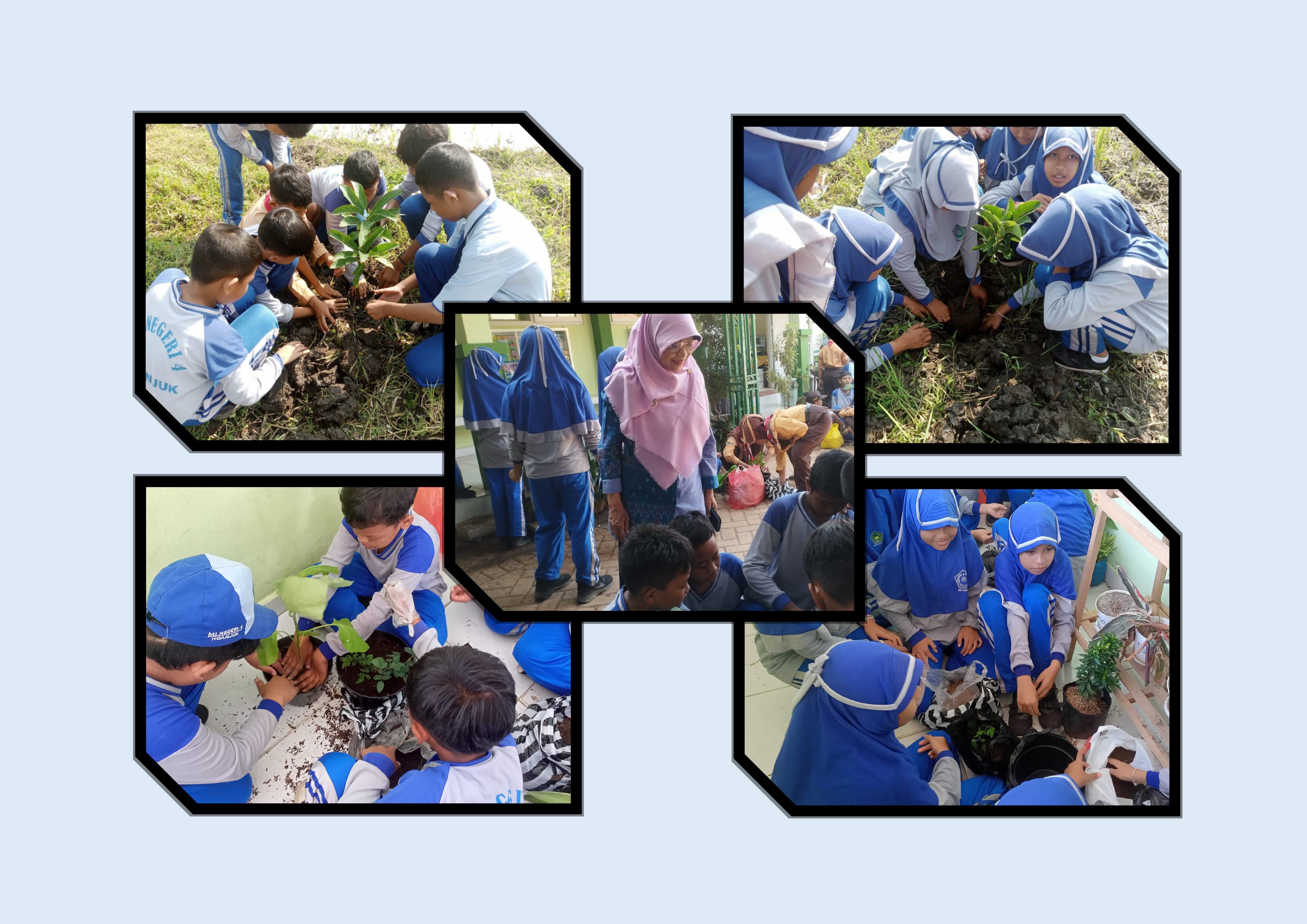 Program GEMES MIN 4 Nganjuk Wujudkan Madrasah Hijau melalui Gerakan Menanam Serempak